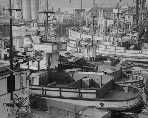 Japanese american fishing - japanese-american,