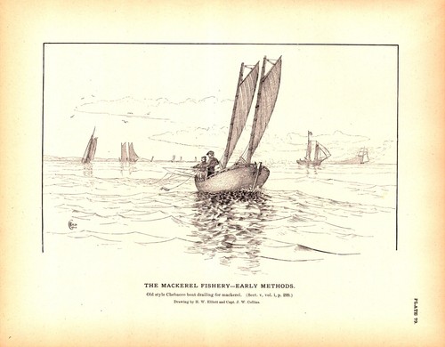 Old style chebacco boat - old,