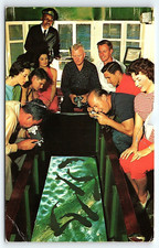 1952 FLORIDA'S SILVER SPRINGS